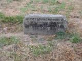 image of grave number 931344